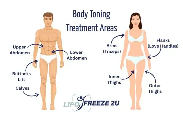 Graphic showing where you can have Body toning Treatment Hastings on your body